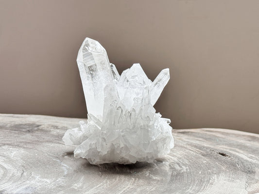 Lemurian Quartz Cluster