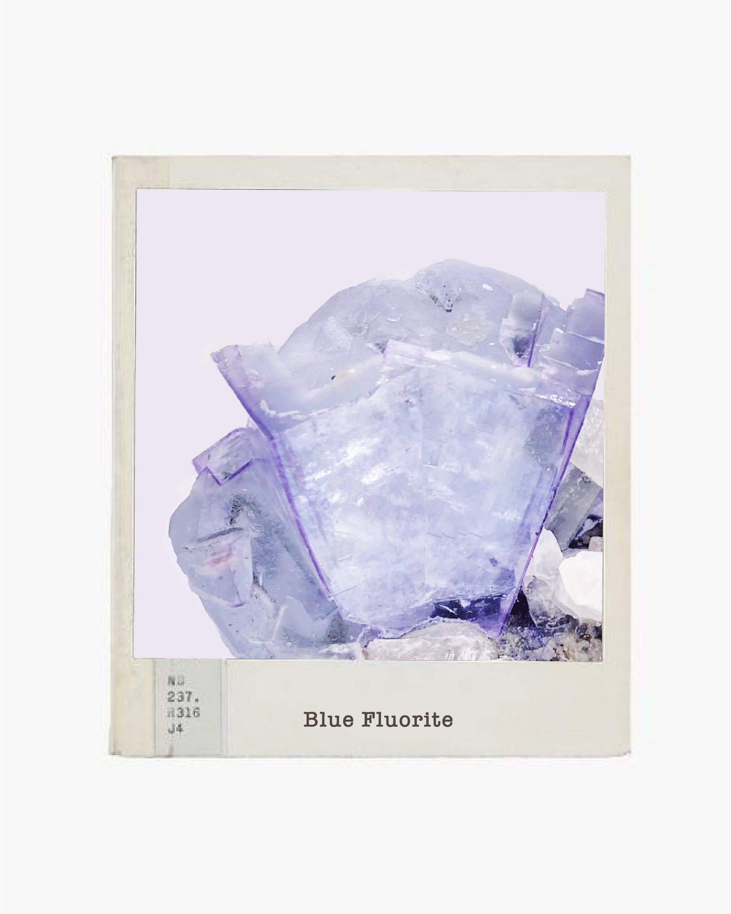 Blue Rose Fluorite