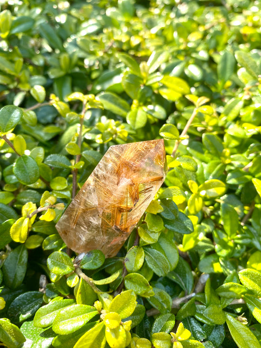 Golden Rutilated Quartz